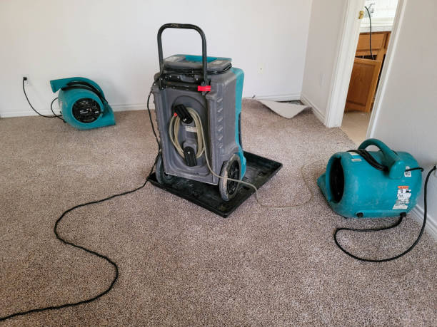Best Mold removal after water damage  in Colonial Rk, PA