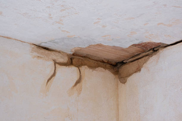 Best Carpet water damage restoration  in Colonial Rk, PA
