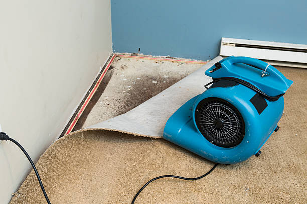 Best Fire Damage Restoration  in Colonial Rk, PA